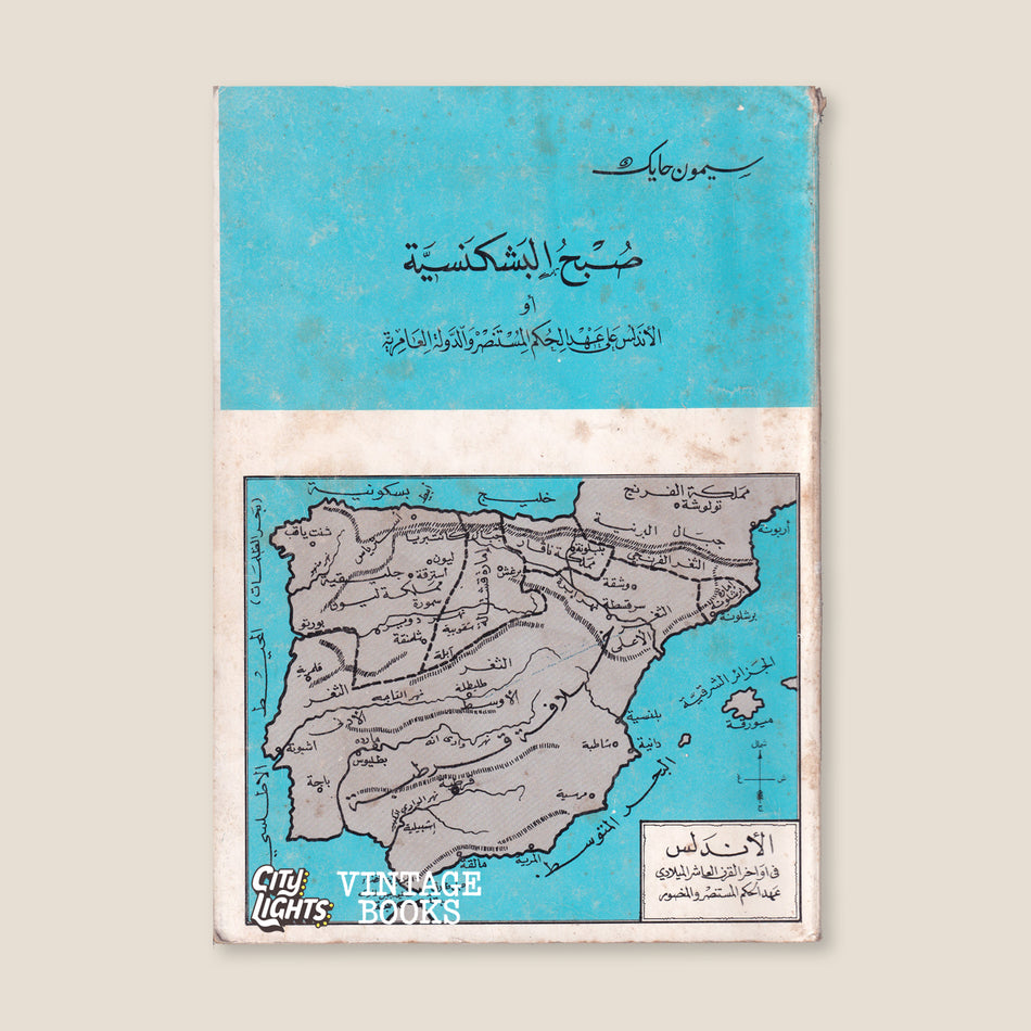 صبح البشكنسيّة: الأندلس على عهد الحكم المستنصر والدولة العامريّة